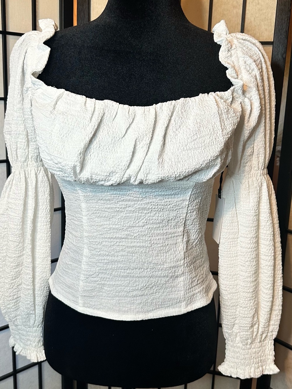 ASTR The Label Smocked Puffed Long Sleeves Top